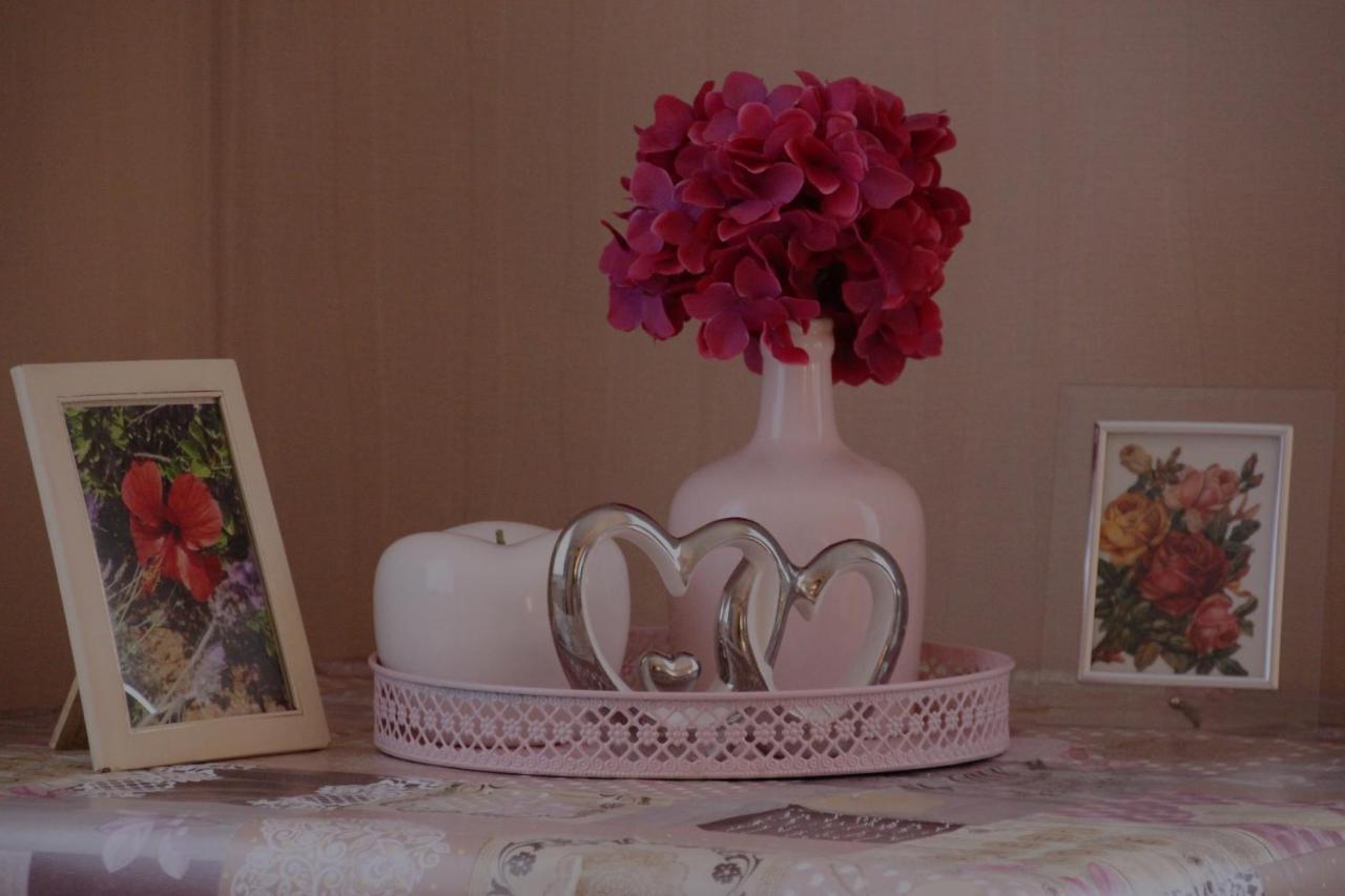 Ferienwohnung Felicitas Wilthen المظهر الخارجي الصورة